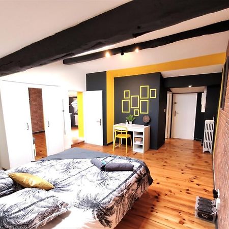 La Terrasse De Jeanne - Vue Magnifique - Netflix Apartment Toulouse Ngoại thất bức ảnh